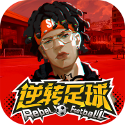 bibo必博体育
