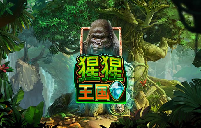 大红鹰dhy
